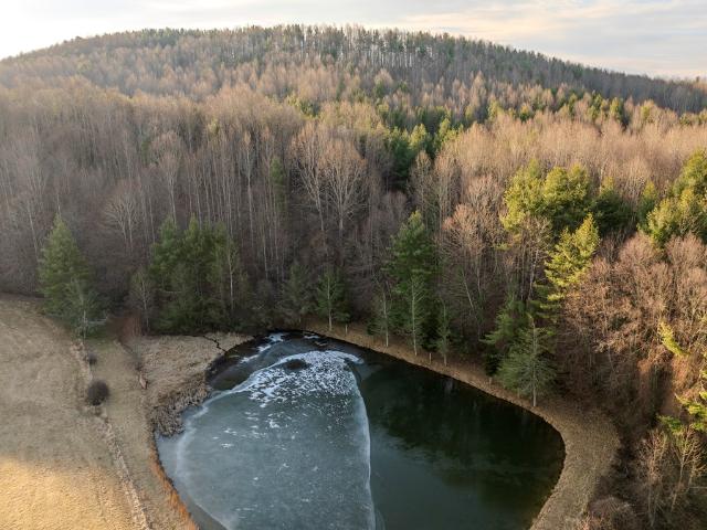 Land for sale in Virginia