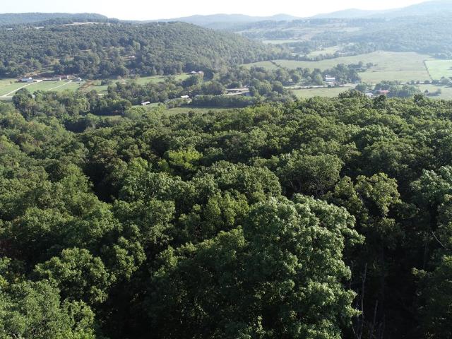 Land for sale in Ark