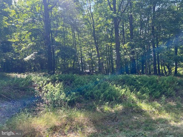 Land for sale in Virginia