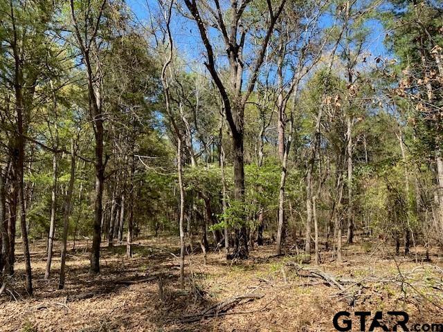 Land for sale in Ben Wheeler, Texas
