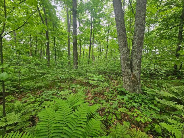 Land for sale in Garrison, Minnesota