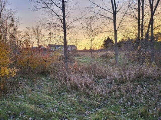 Land for sale in Mount Pleasant, Isabella County