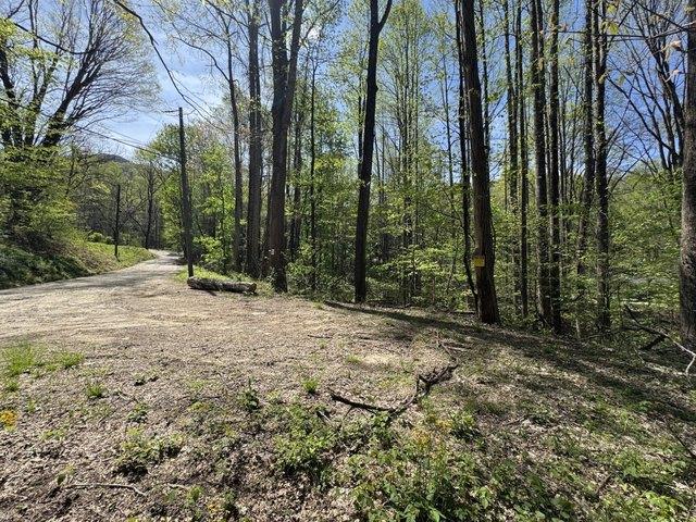 Land for sale in Haywood, North Carolina