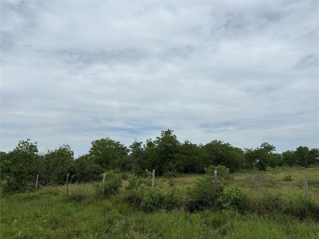Land for sale in Needville, Texas