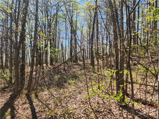 Land for sale in North Carolina