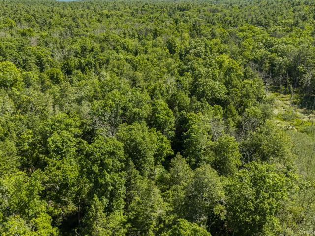 Land for sale in New York