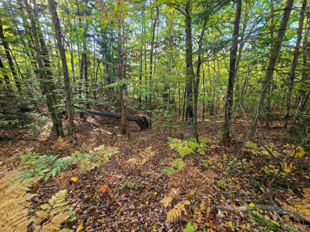 Land for sale in Au Train Township, Alger County