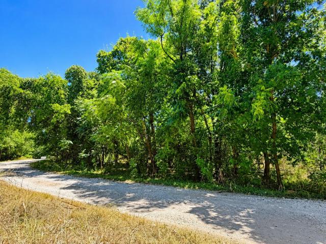 Land for sale in Burnet, Texas