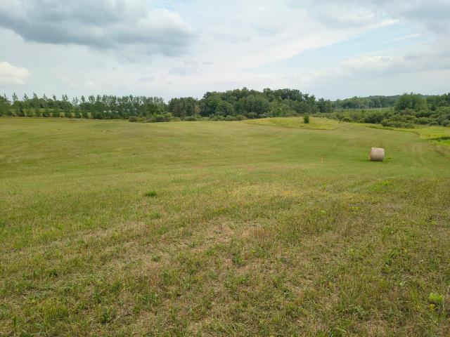 Land for sale in Carlos, Minnesota