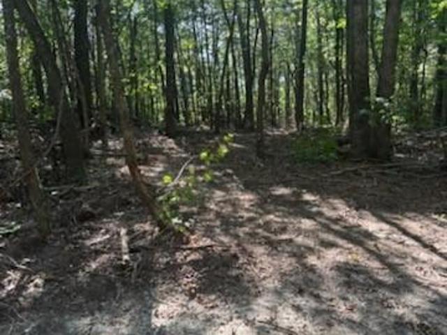 Land for sale in Maiden, Catawba County