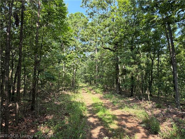 Land for sale in Talihina, Oklahoma