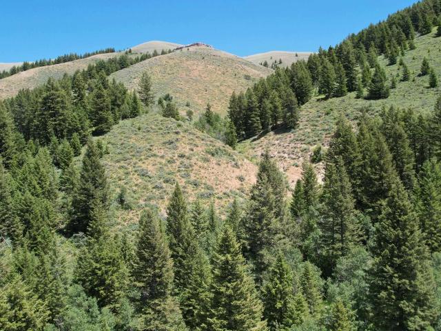 Land for sale in Power, Idaho