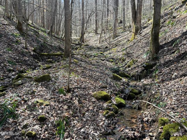 Land for sale in Virginia