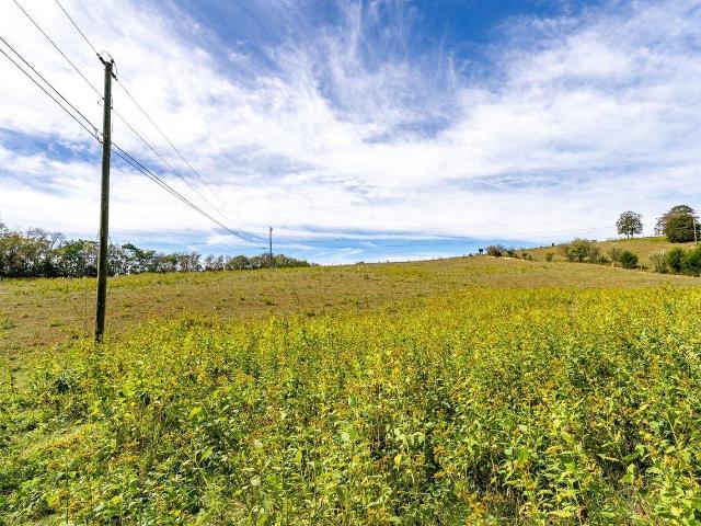 Land for sale in Lexington, Rockbridge County