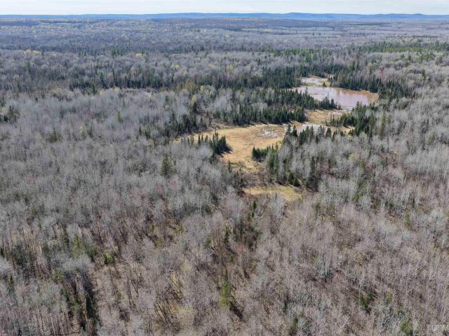 Land for sale in Michigan