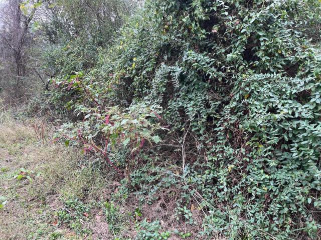 Land for sale in Ark