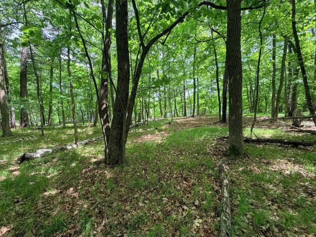 Land for sale in Hackensack, Minnesota