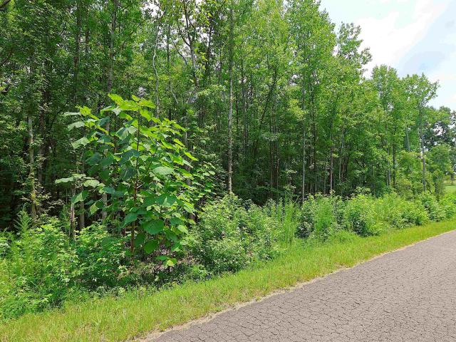 Land for sale in Gaffney, Cherokee County