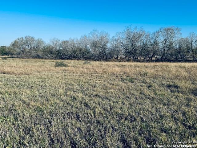 Land for sale in Pleasanton, Atascosa County
