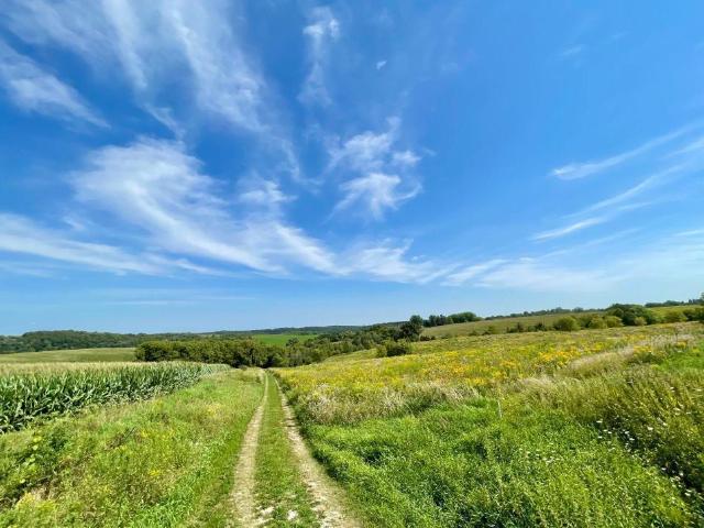 House for sale in Minnesota