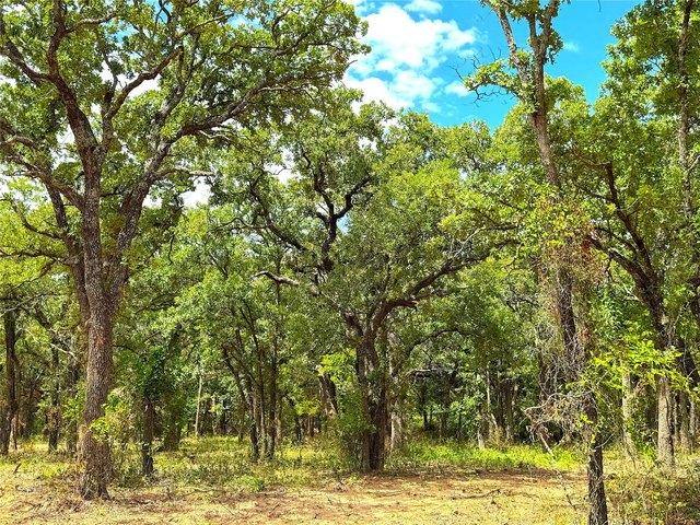 Land for sale in Poolville, Parker County