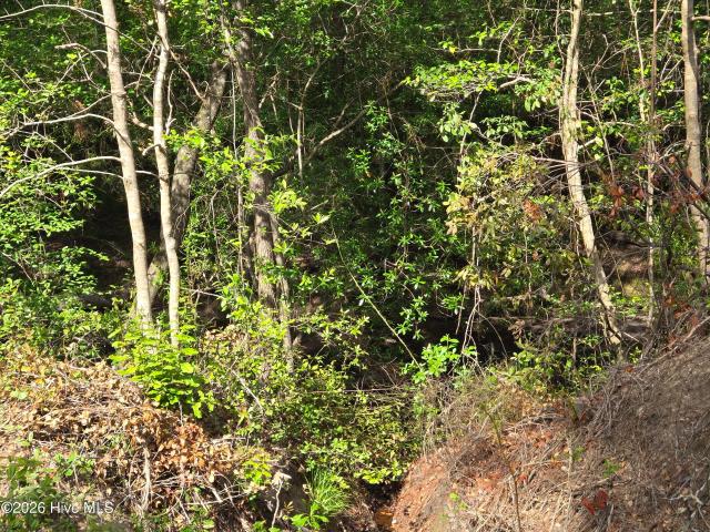 Land for sale in Vass, North Carolina
