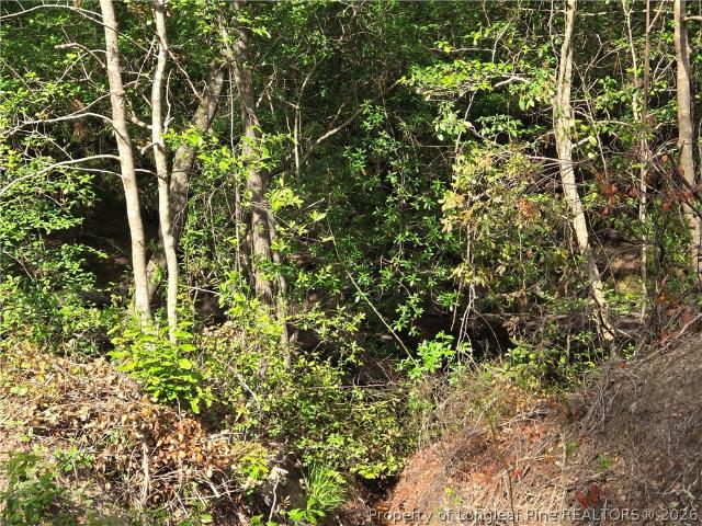 Land for sale in Vass, North Carolina