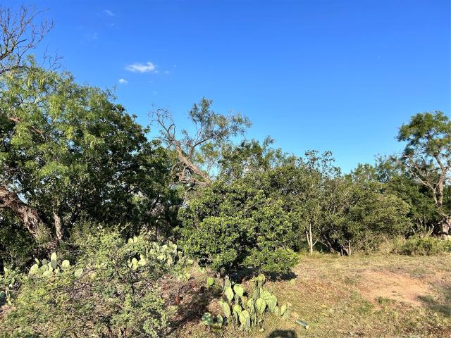 Land for sale in Llano, Texas