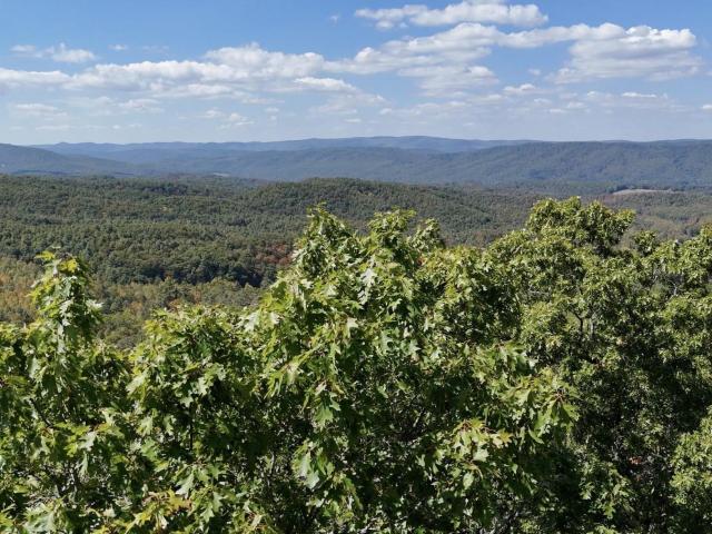 Land for sale in Virginia