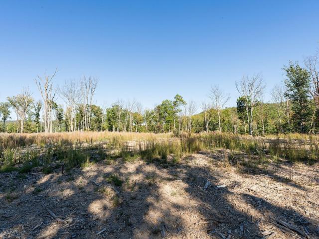 Land for sale in Waynesboro, Augusta County