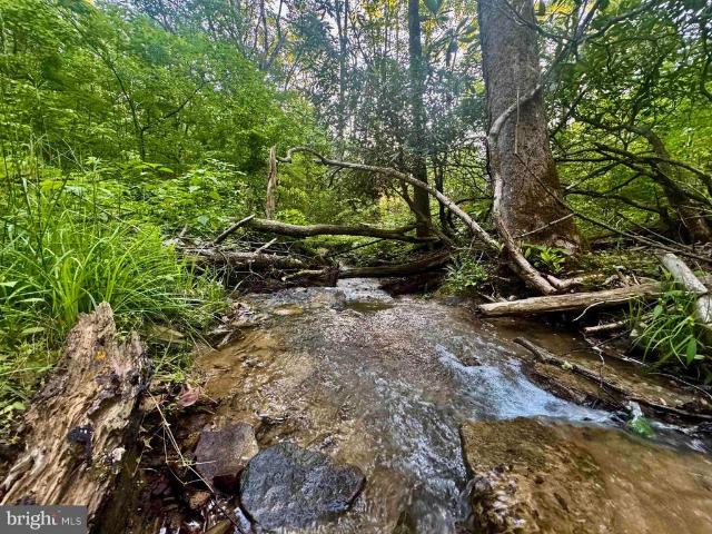 Land for sale in Rowlesburg, West Virginia