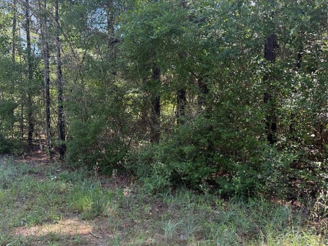 Land for sale in Ivanhoe, Texas