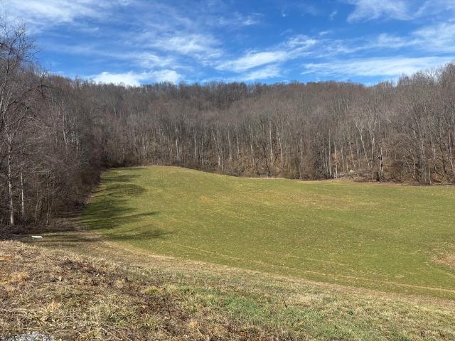 Land for sale in Virginia