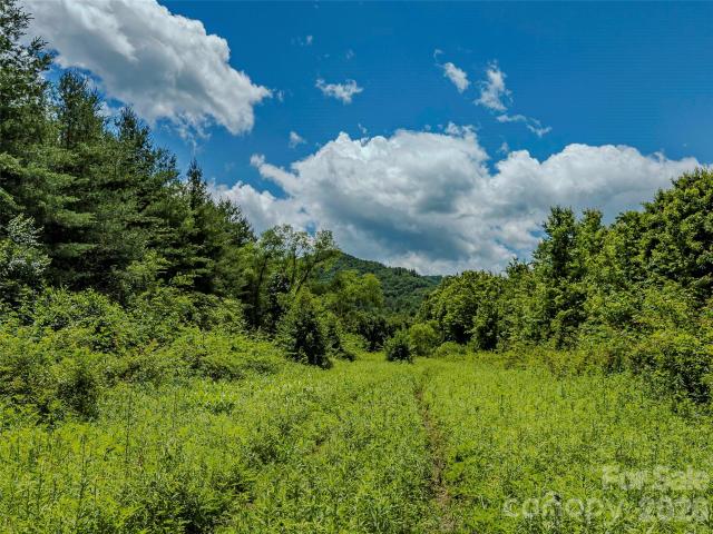Land for sale in Transylvania, North Carolina