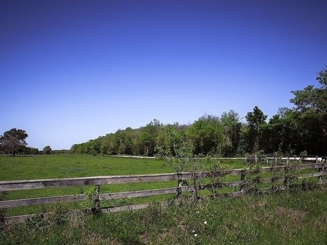 Land for sale in Chappell Hill, Texas