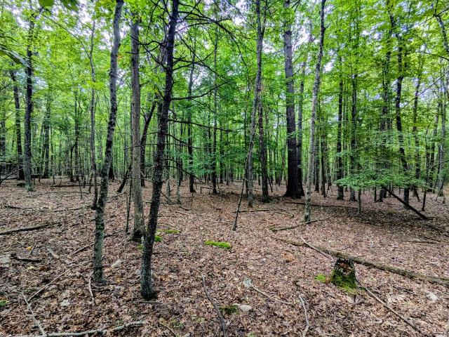 Land for sale in Virginia
