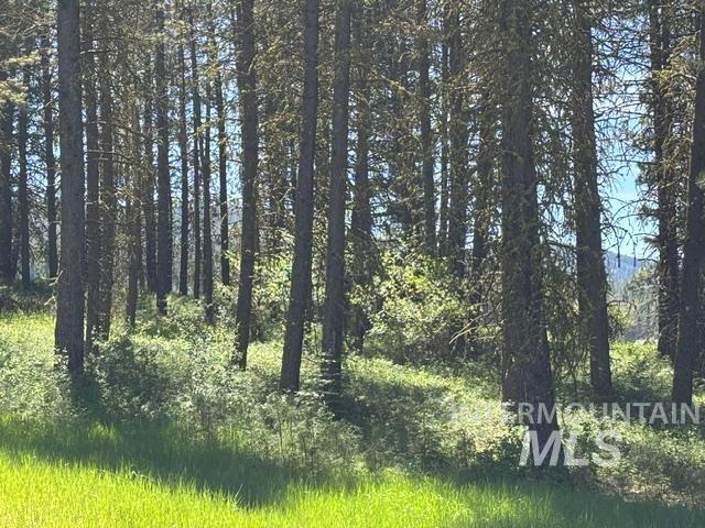 Land for sale in New Meadows, Idaho