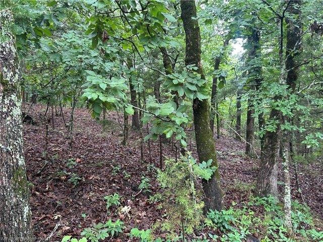 Land for sale in Poteau, Oklahoma