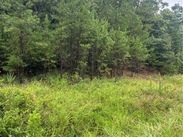Land for sale in Poteau, Oklahoma
