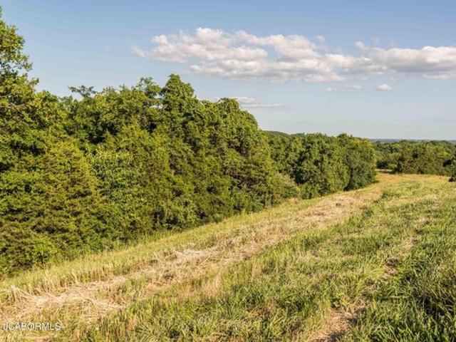 Land for sale in Callaway, Missouri