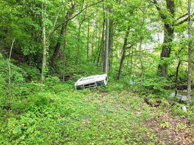 Land for sale in Virginia