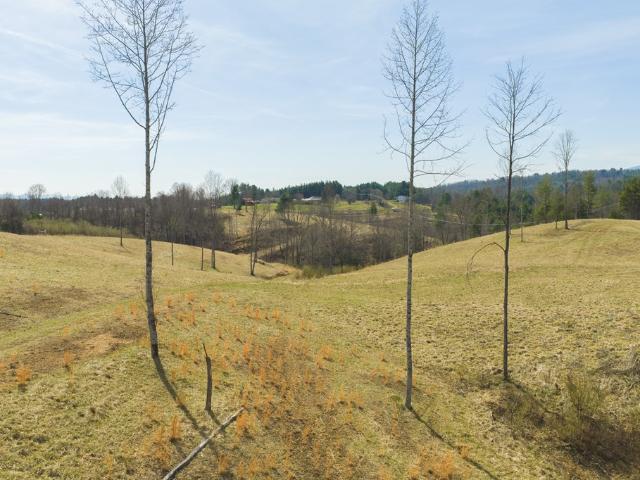 Land for sale in Virginia