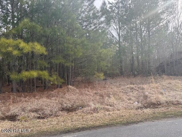 Land for sale in Woodland, North Carolina