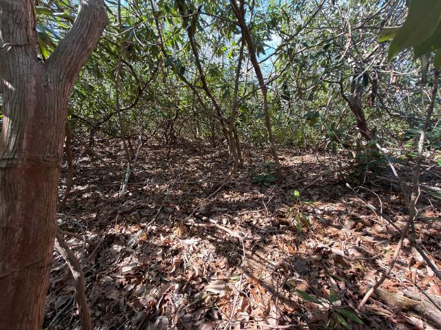 Land for sale in Carroll County, Virginia