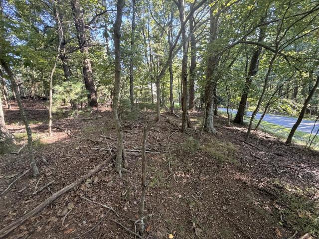 Land for sale in Carroll County, Virginia