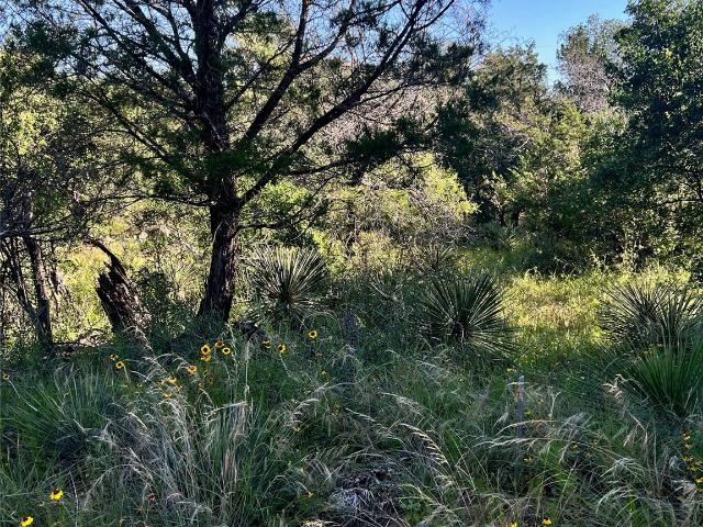 Land for sale in Texas