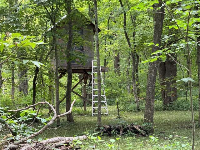 Land for sale in Coffey, Missouri