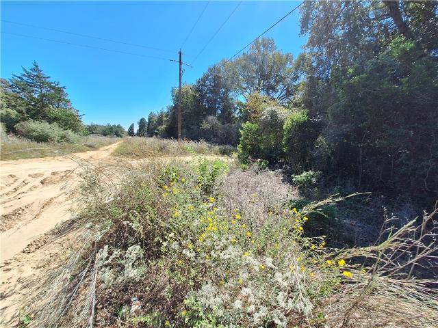 Land for sale in Caldwell, Burleson County
