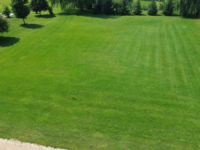 Land for sale in Dexter, Minnesota
