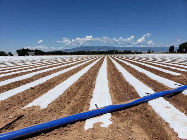 Land for sale in Delta, Colorado